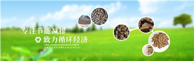 倪維斗院士：通過技術(shù)創(chuàng)新，大力發(fā)展超級能源生物質(zhì)燃料